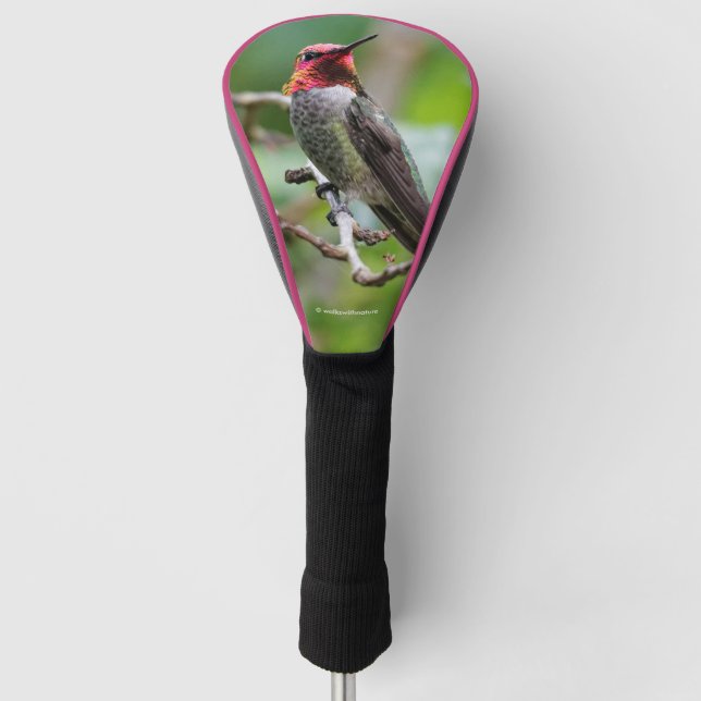 Couvre-club De Golf Le colibri d'Anna sur le prunier (Devant)