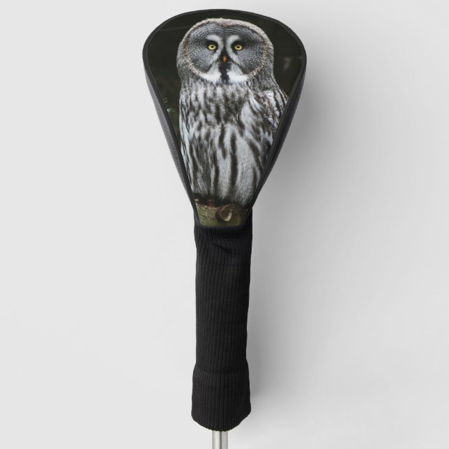 Couvre-club De Golf Le grand hibou gris dccnm (Devant)