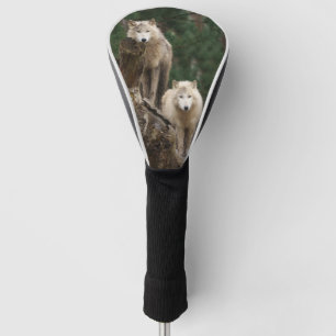 Couvre-club De Golf Le royaume des loups blancs