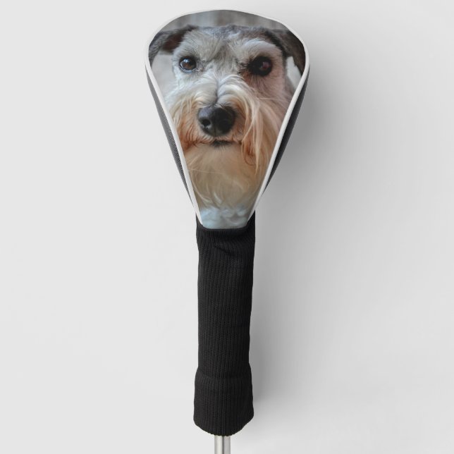 Couvre-club De Golf Le visage de Schnauzer Dog (Devant)