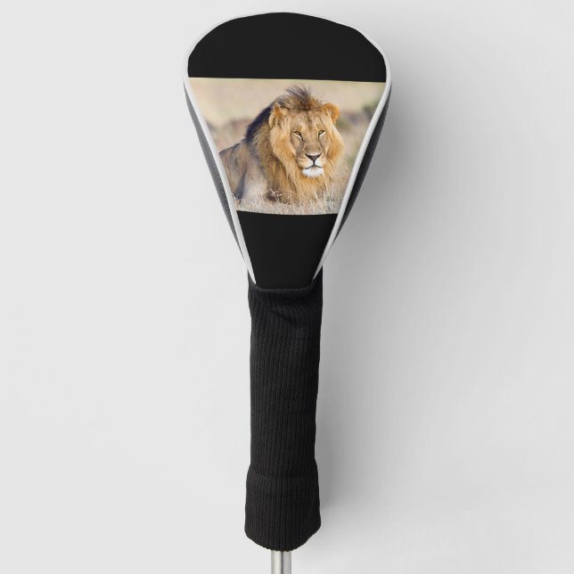 Couvre-club De Golf Lion majestueux (Devant)
