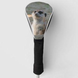 Couvre-club De Golf Meerkat 004