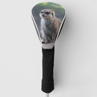 Couvre-club De Golf Meerkat_2019001