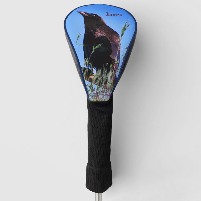 Couvre-club De Golf Oiseau noir - Corbeau (Devant)