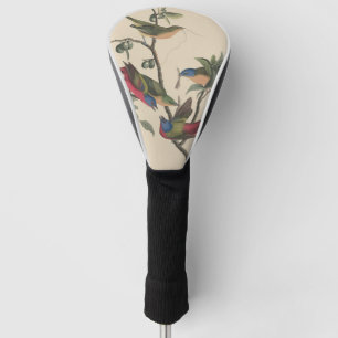 Couvre-club De Golf Oiseaux colorés d'art vintage Audubon Peint Bruant