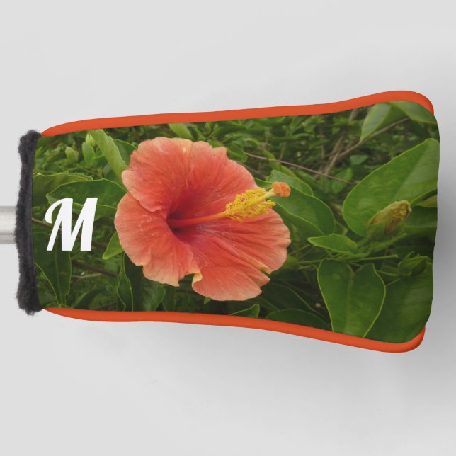Couvre-club De Golf Orange Hibiscus Fleur Tropical Floral (Devant)