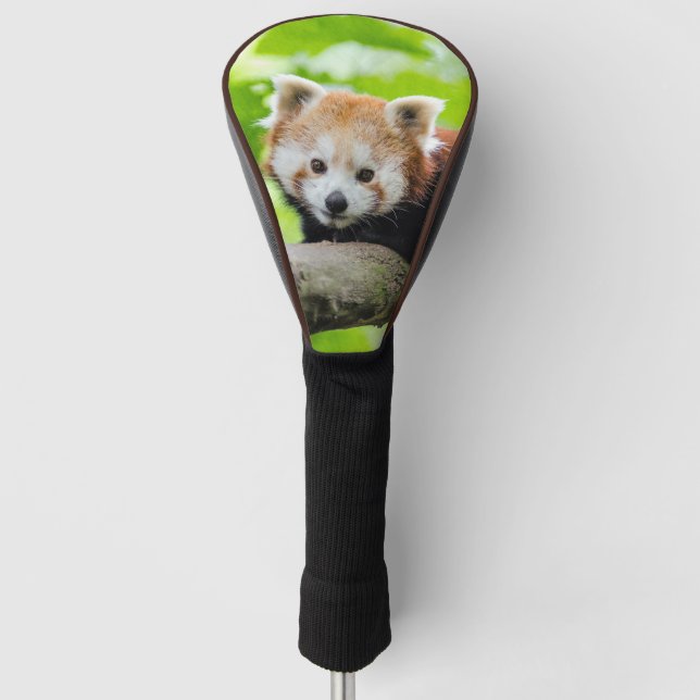 Couvre-club De Golf Panda rouge (Devant)