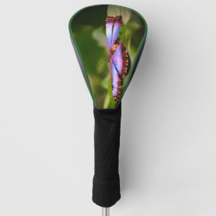 Couvre-club De Golf Papillon Bleu Nature Fermer Tint Haut