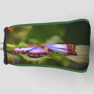 Couvre-club De Golf Papillon Bleu Nature Fermer Tint Haut