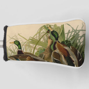 Couvre-club De Golf Peinture d'oiseaux de Mallard Duck Audubon