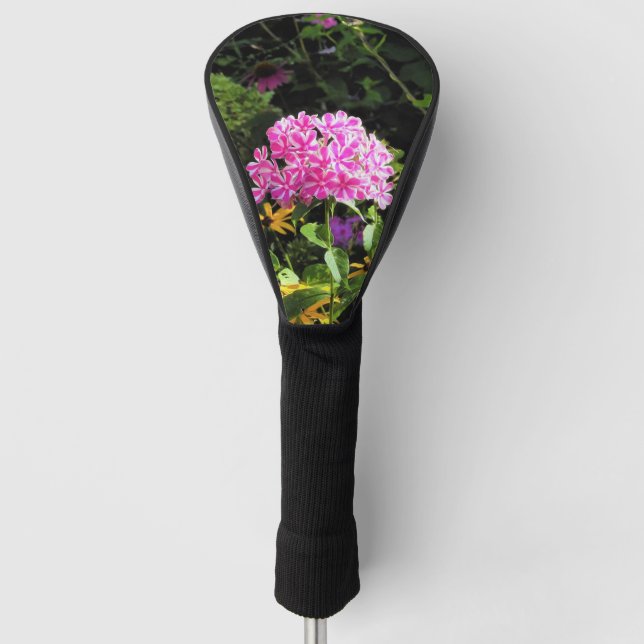 Couvre-club De Golf Peppermint Twist Phlox dans le jardin des fleurs (Devant)