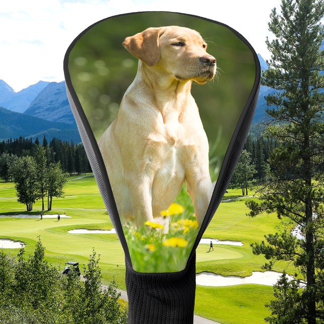 Couvre-club De Golf Photo de chat de chien personnalisée Simple person (Créateur téléchargé)