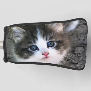 Couvre-club De Golf Photo de chat Super Cute Kitten