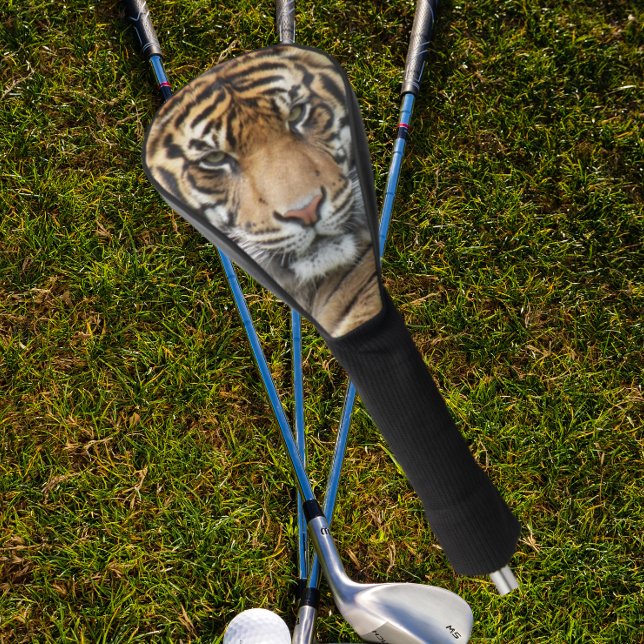 Couvre-club De Golf Photo Face Tigre de Fierce (In Situ Golfing)