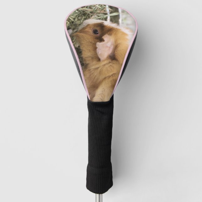 Couvre-club De Golf Piggy (Devant)
