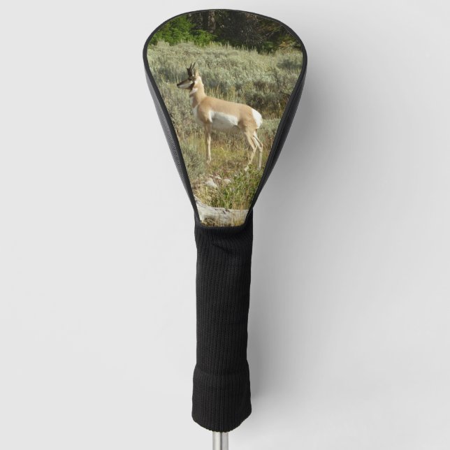Couvre-club De Golf Pronghorn au Parc national de Grand Teton (Devant)