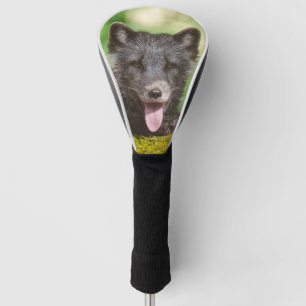 Couvre-club De Golf Renard arctique au repos
