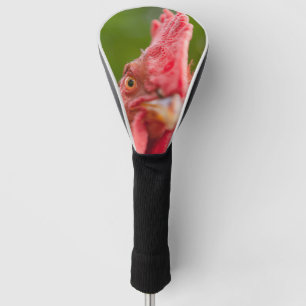 Couvre-club De Golf Rhode Island Red Rooster