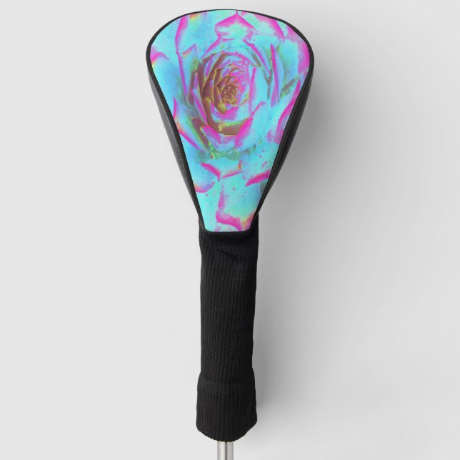 Couvre-club De Golf Rosette Succulente rose et bleu chaud (Devant)