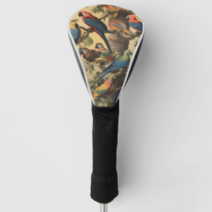 Couvre-club De Golf Scène botanique vintage perroquets colorés dans un