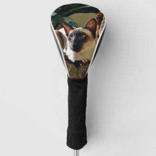 Couvre-club De Golf Seal Point Siamese Chat on Comfy Coussin