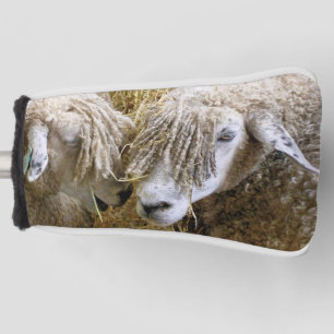 COUVRE-CLUB DE GOLF SHEEP