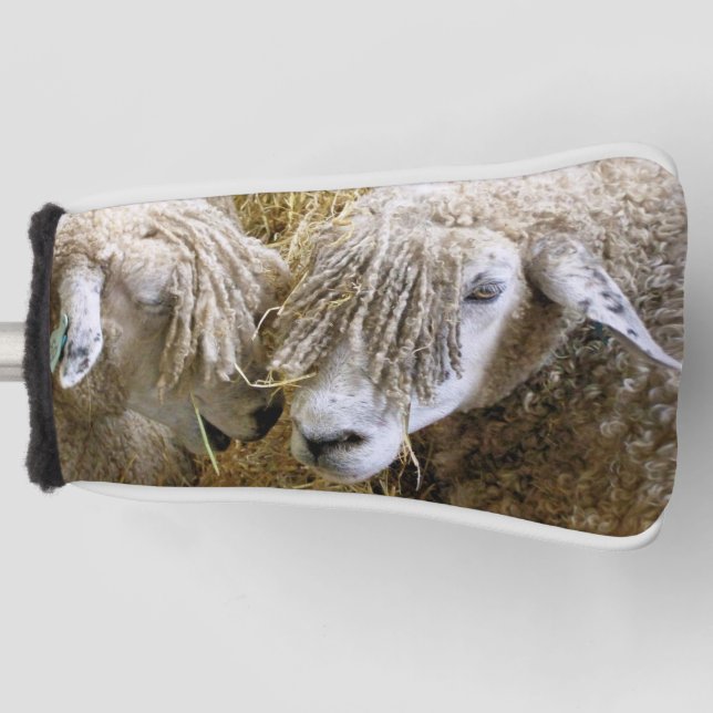 COUVRE-CLUB DE GOLF SHEEP (Devant)