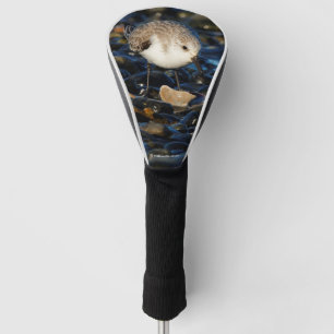 Couvre-club De Golf Shorebird Dines on Clam