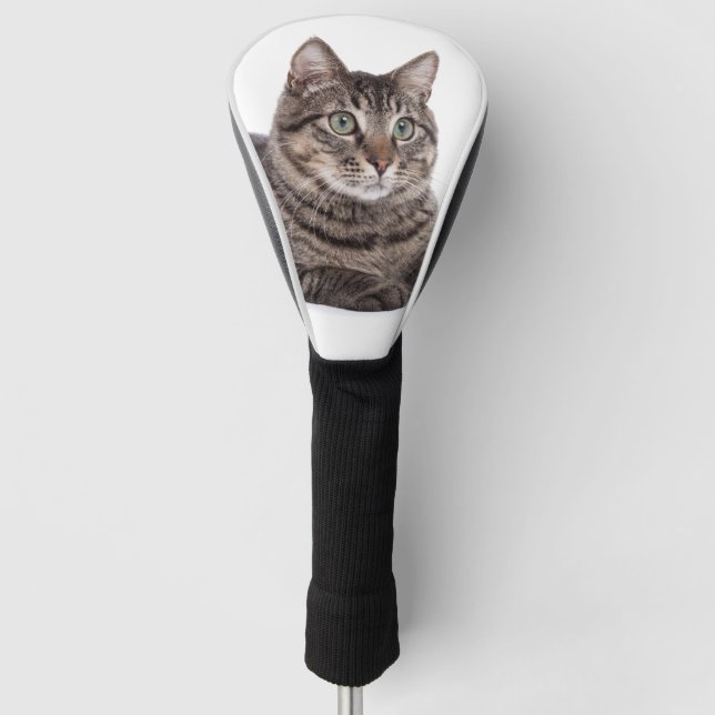 Couvre-club De Golf Tabby Gris (Devant)