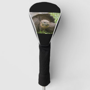 Couvre-club De Golf Tortue géante
