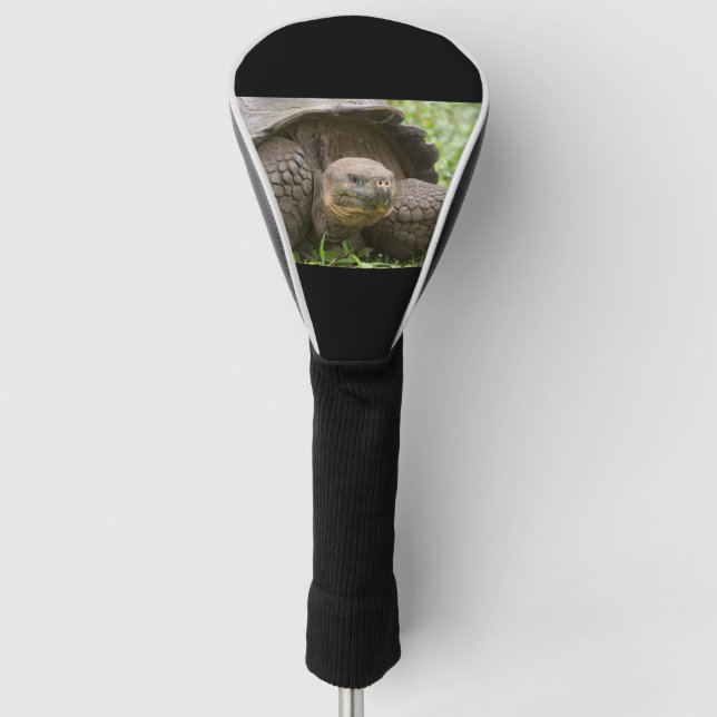 Couvre-club De Golf Tortue géante (Devant)