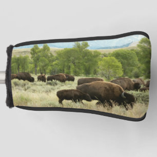 Couvre-club De Golf Wyoming Bison Nature Animal Photographie