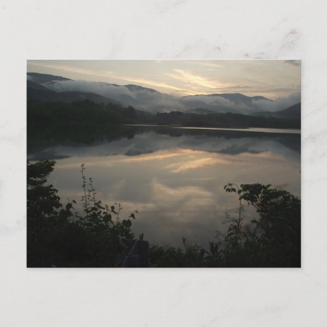 Cove Lake Staat Park, Tennessee Postkarte (Vorderseite)