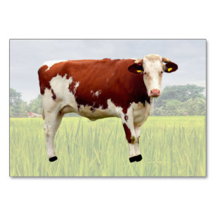 Cow ABA Tact Labelkarte   Picture Card Tischnummer