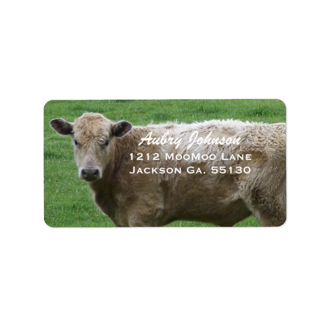 Cow Address Labels Adressaufkleber (Vorne)