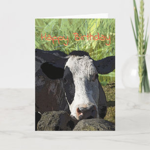 Cow  Birthday card Karte