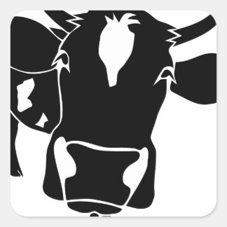 cow cattle kuh fleckvieh milk cowboy farmer quadratischer aufkleber