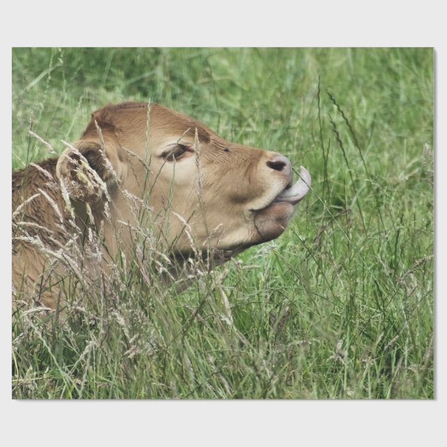 COW GESCHENKPAPIER (Flach)