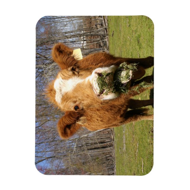 Cow Magnet (Vertikal)