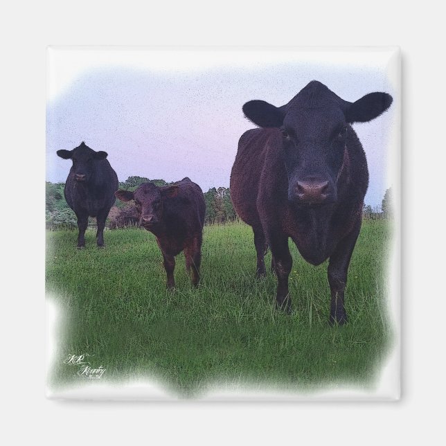 COW MAGNET ! (Vorne)