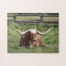 Cow Texas Longhorn Foto