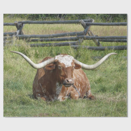 Cow Texas Longhorn Foto Geschenkpapier