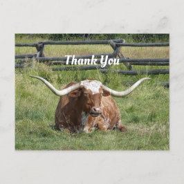 Cow Texas Longhorn Foto Vielen Dank Postkarte