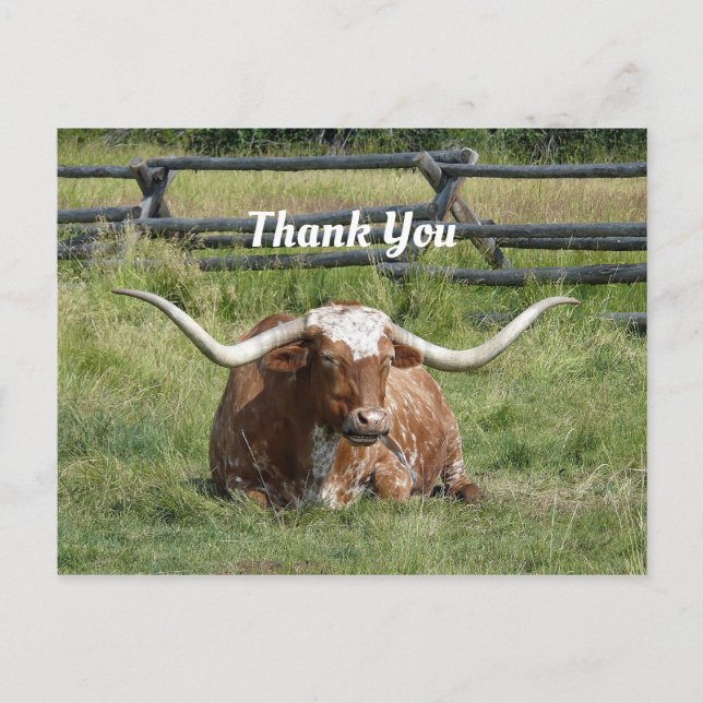 Cow Texas Longhorn Foto Vielen Dank Postkarte (Vorderseite)