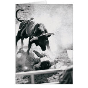 Cowboy auf dem Boden nach dem Absturz des Stiers