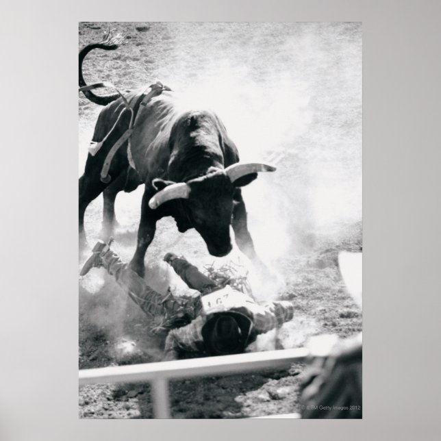 Cowboy auf dem Boden nach dem Absturz des Stiers Poster (Vorne)