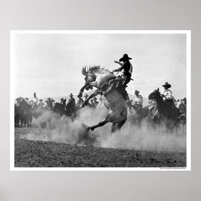 Cowboy auf einem buckligen Bronco Poster (Vorne)