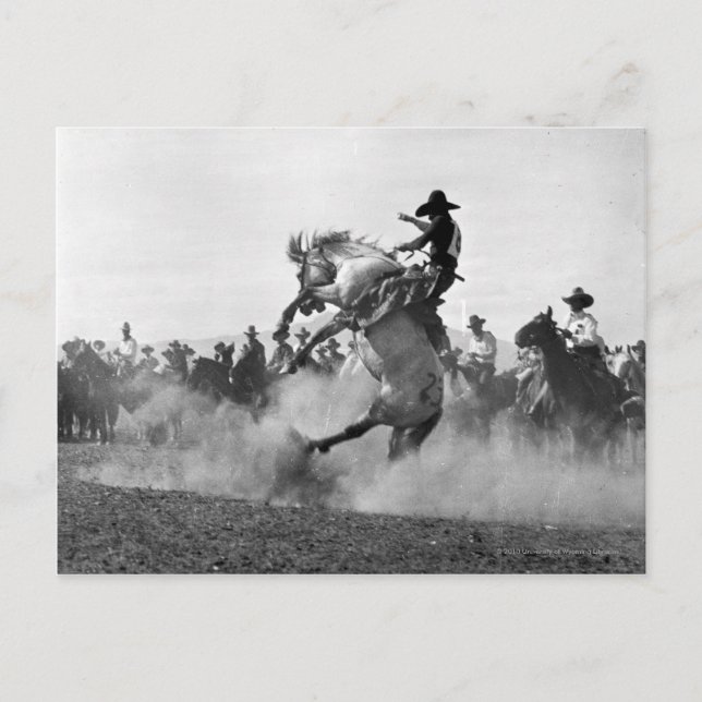 Cowboy auf einem buckligen Bronco Postkarte (Vorderseite)