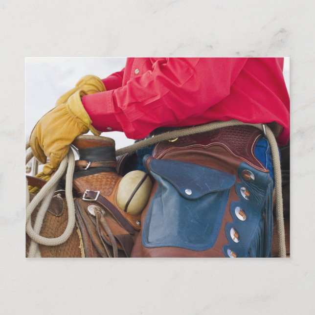 Cowboy auf Pferd mit Lederklappen Postkarte (Vorderseite)