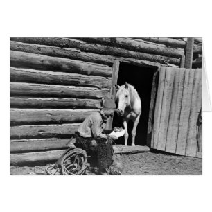 Cowboy et un cheval regardant une lettre